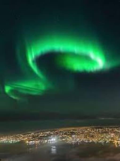 Vervet Apartment Tromsø Kültér fotó